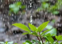 uso consciente da água