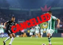 Santos na Sul-Americana