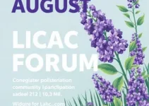 Fórum Agosto Lilás