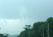 alerta severo de chuva em Campinas e Piracicaba