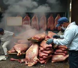 descarto de alimentos do açougue em Americana