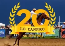 Festa do Peão de Americana