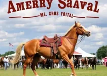 Festa do Peão de Americana