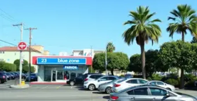 Suspensão da Área Azul