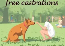 castrações gratuitas