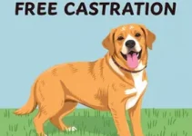 mutirão castração gratuita Americana