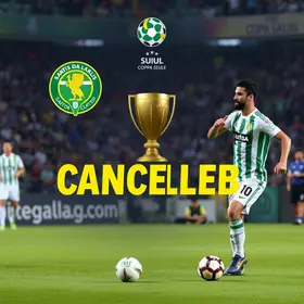 Santos na Sul-Americana