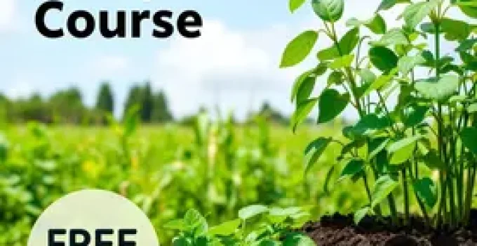 curso gratuito de compostagem e olericultura
