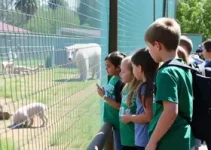 Zoo Americana