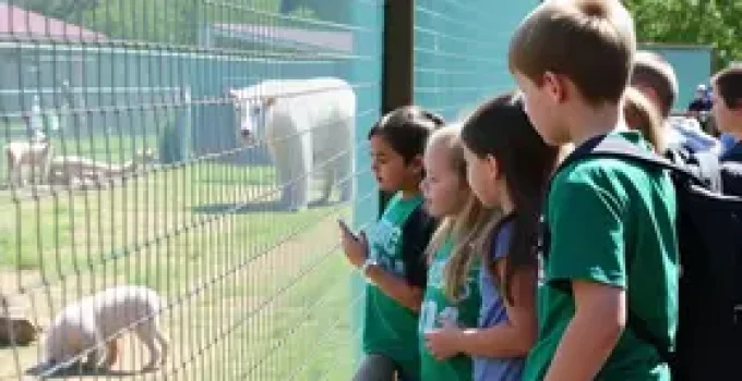Zoo Americana
