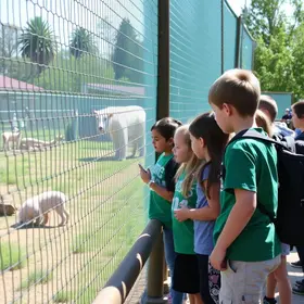 Zoo Americana